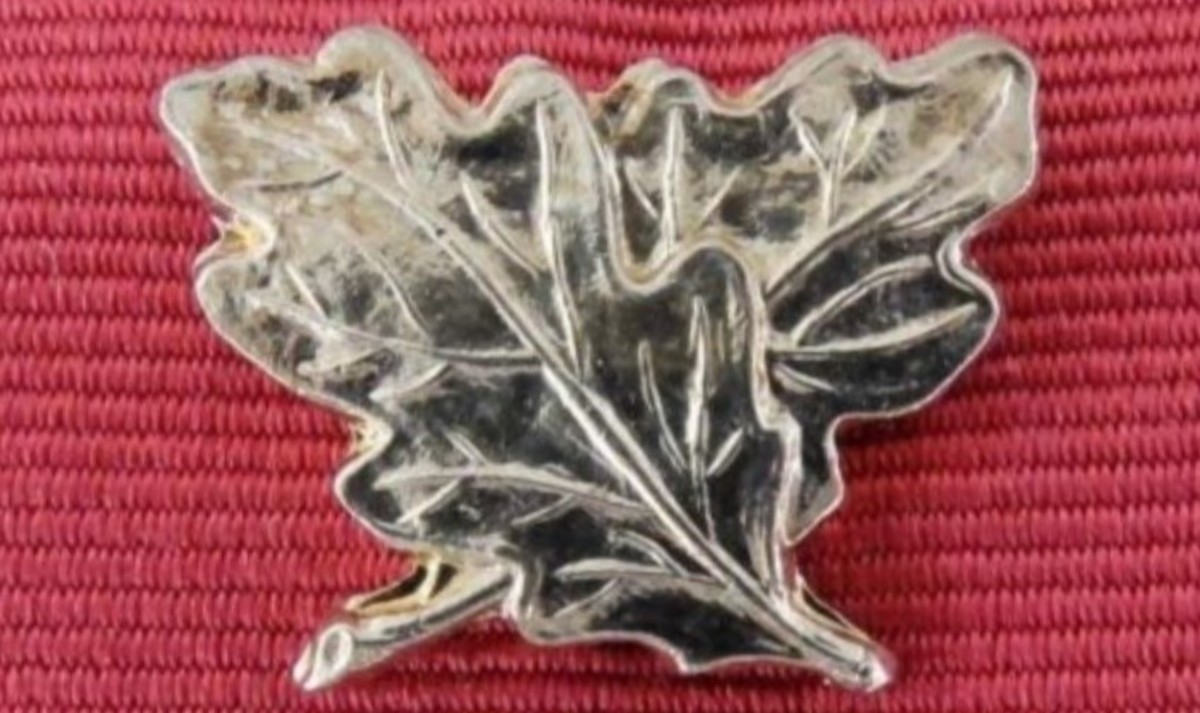 The crossed silver oak leaves emblem for gallantry worn on the ribbon of the Order of the British Empire.