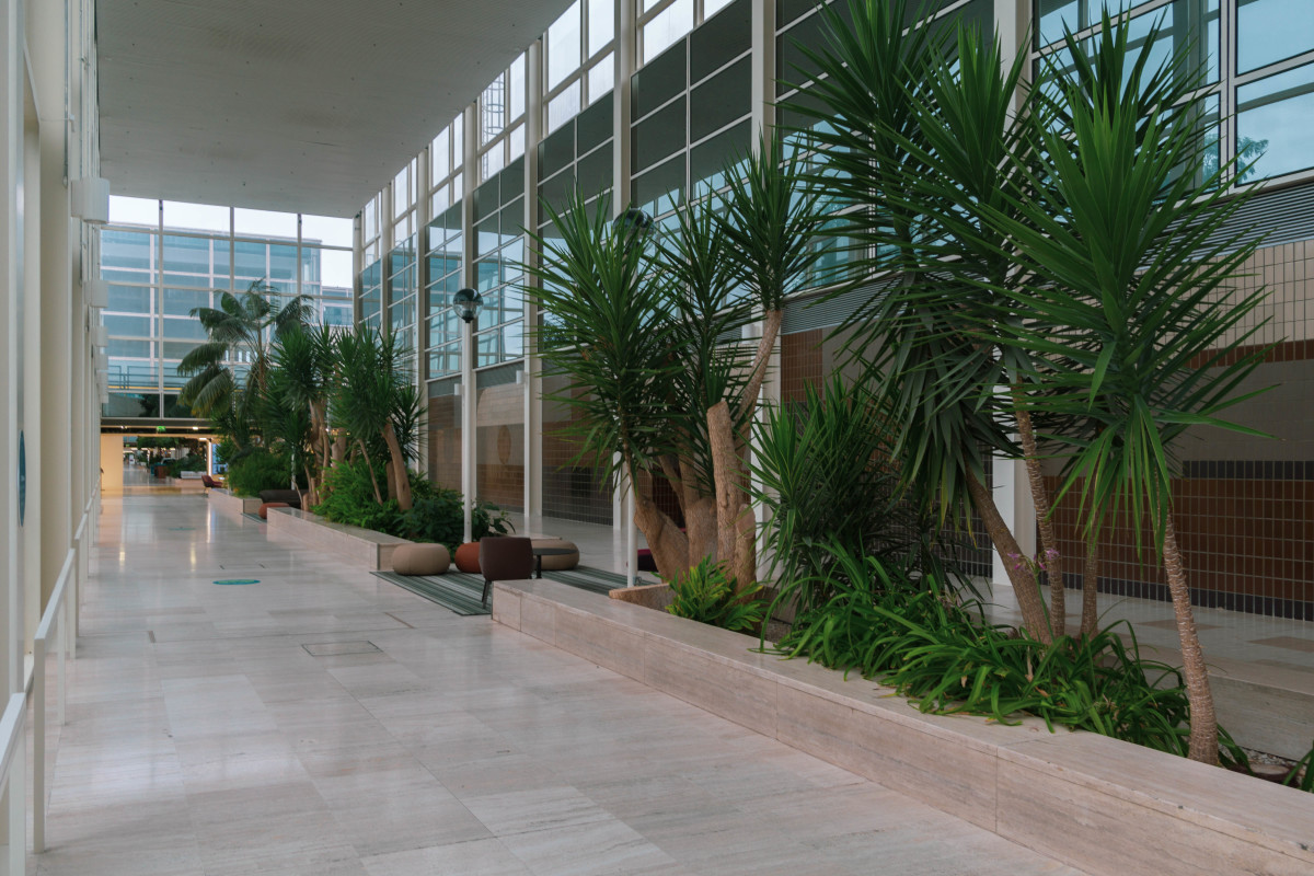 Interior Gardens in the Shopping Building (Centre:MK)