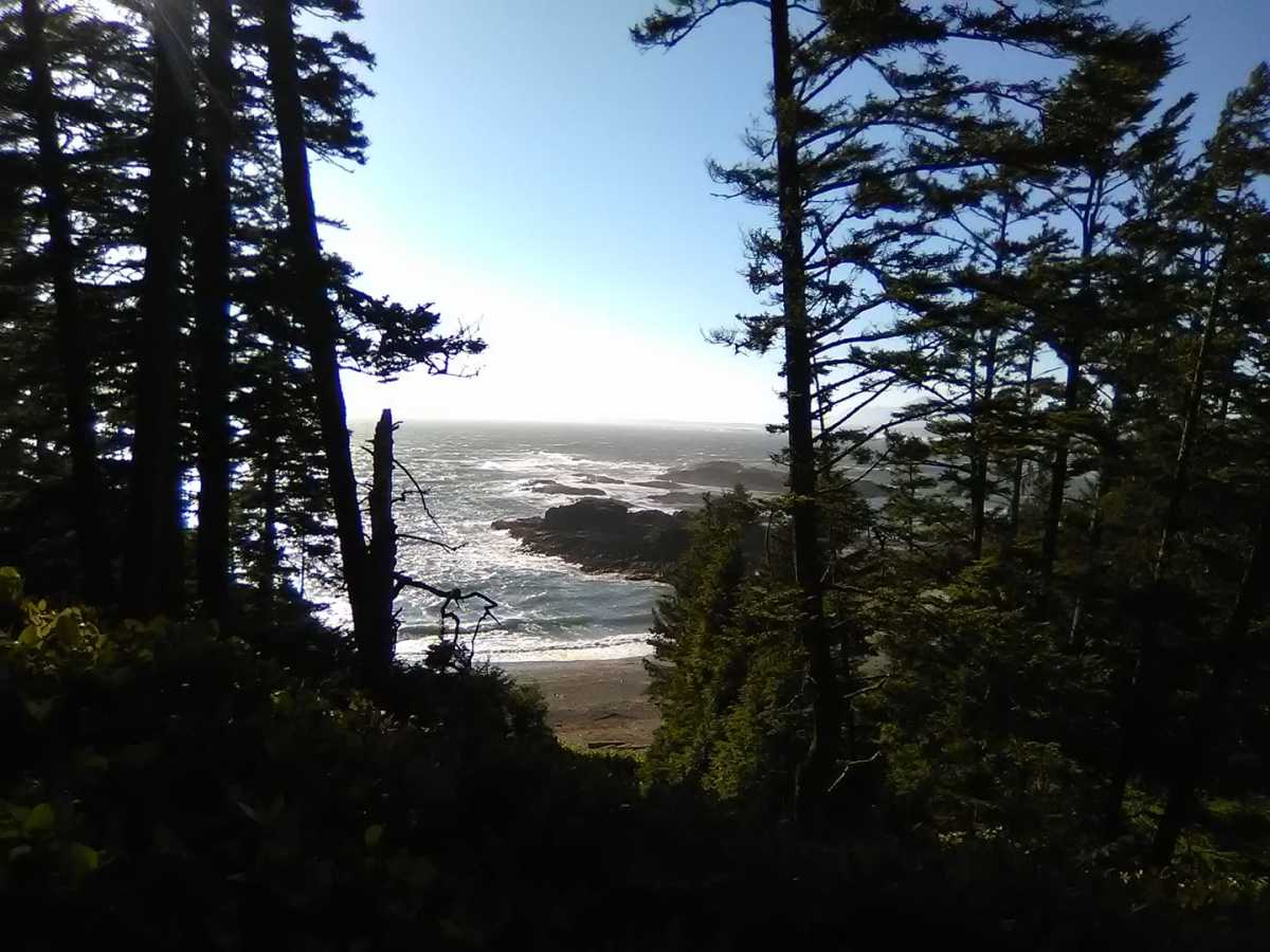 Trail to South Beach in Pacific Rim National Park - HubPages, image size:1200x900