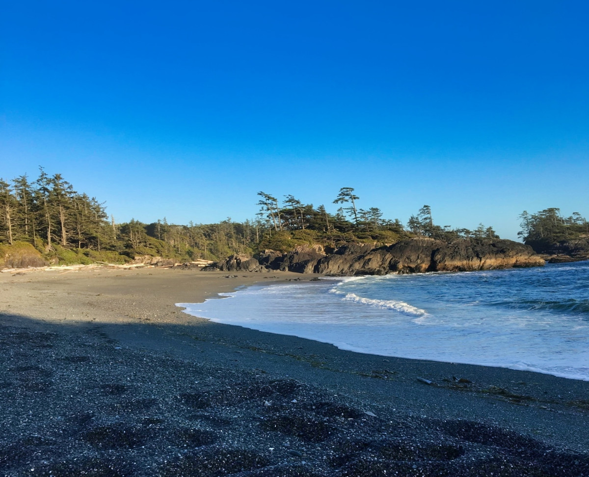 Trail to South Beach in Pacific Rim National Park - HubPages, image size:1200x971