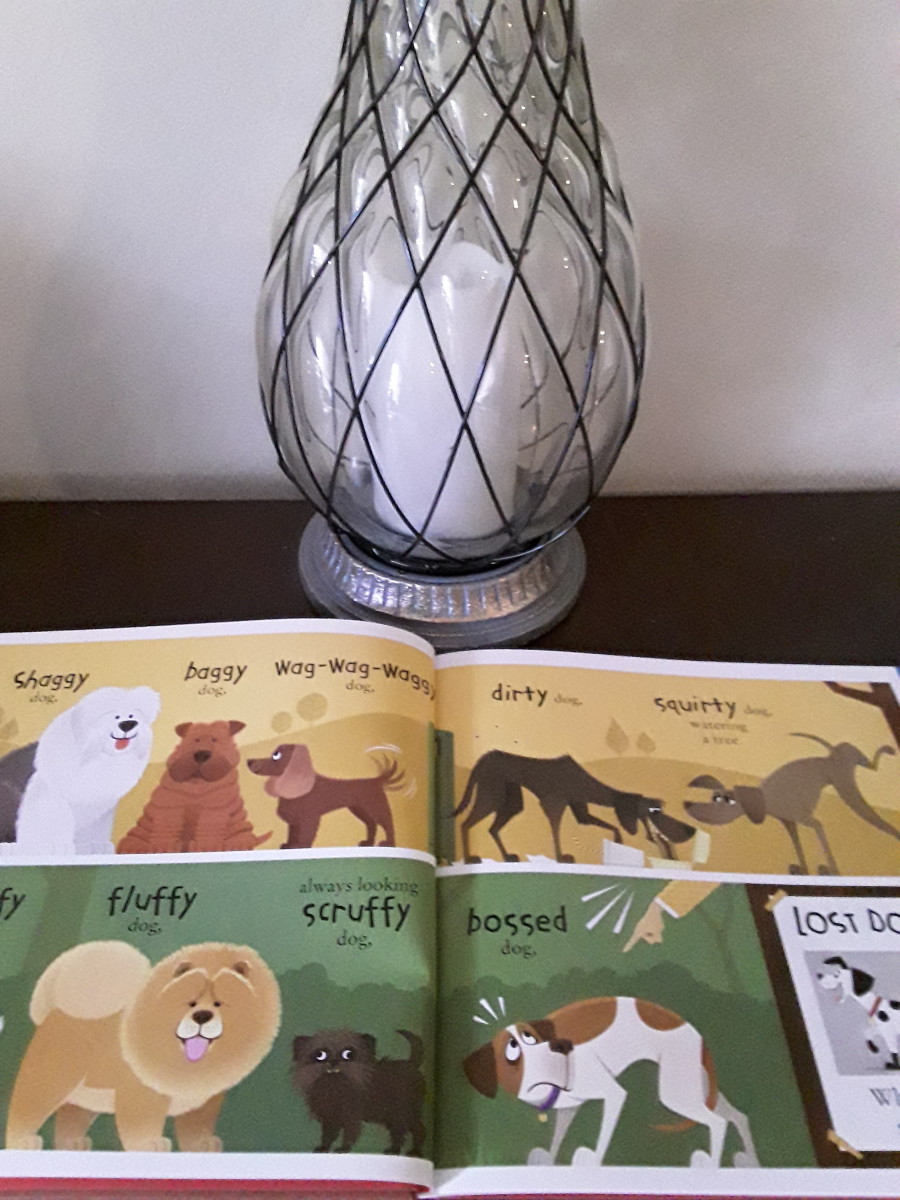 numbers-rhyming-words-and-fun-with-cats-and-dogs-in-set-of-picture-books-for-early-learning