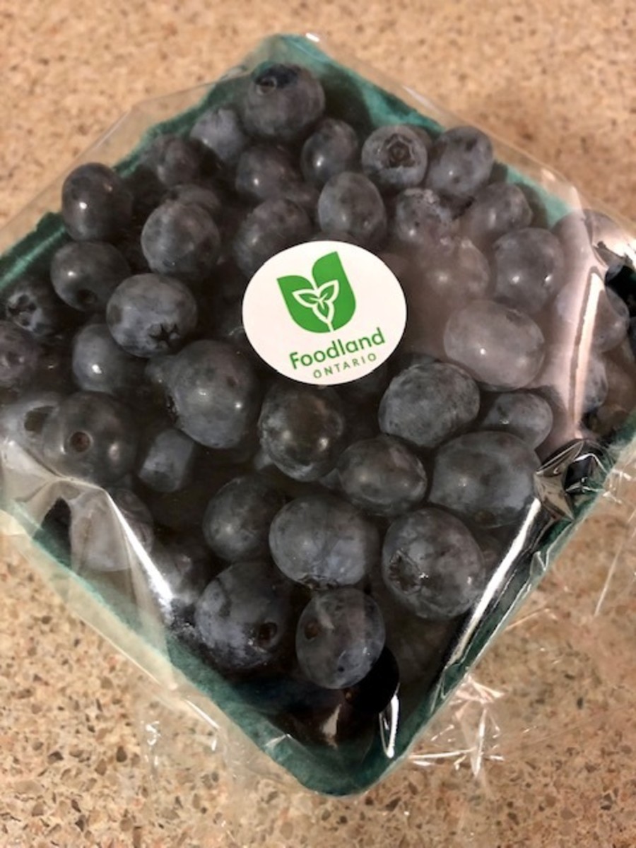 Local Blueberries are a Great Choice