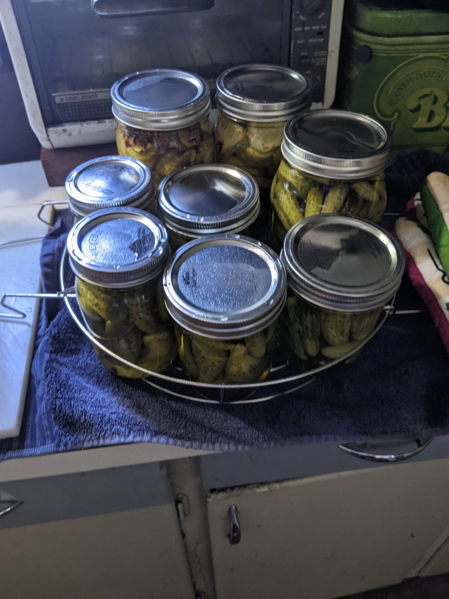 Pickles Bread and Butter Flavor Mrs. Wages Mix HubPages