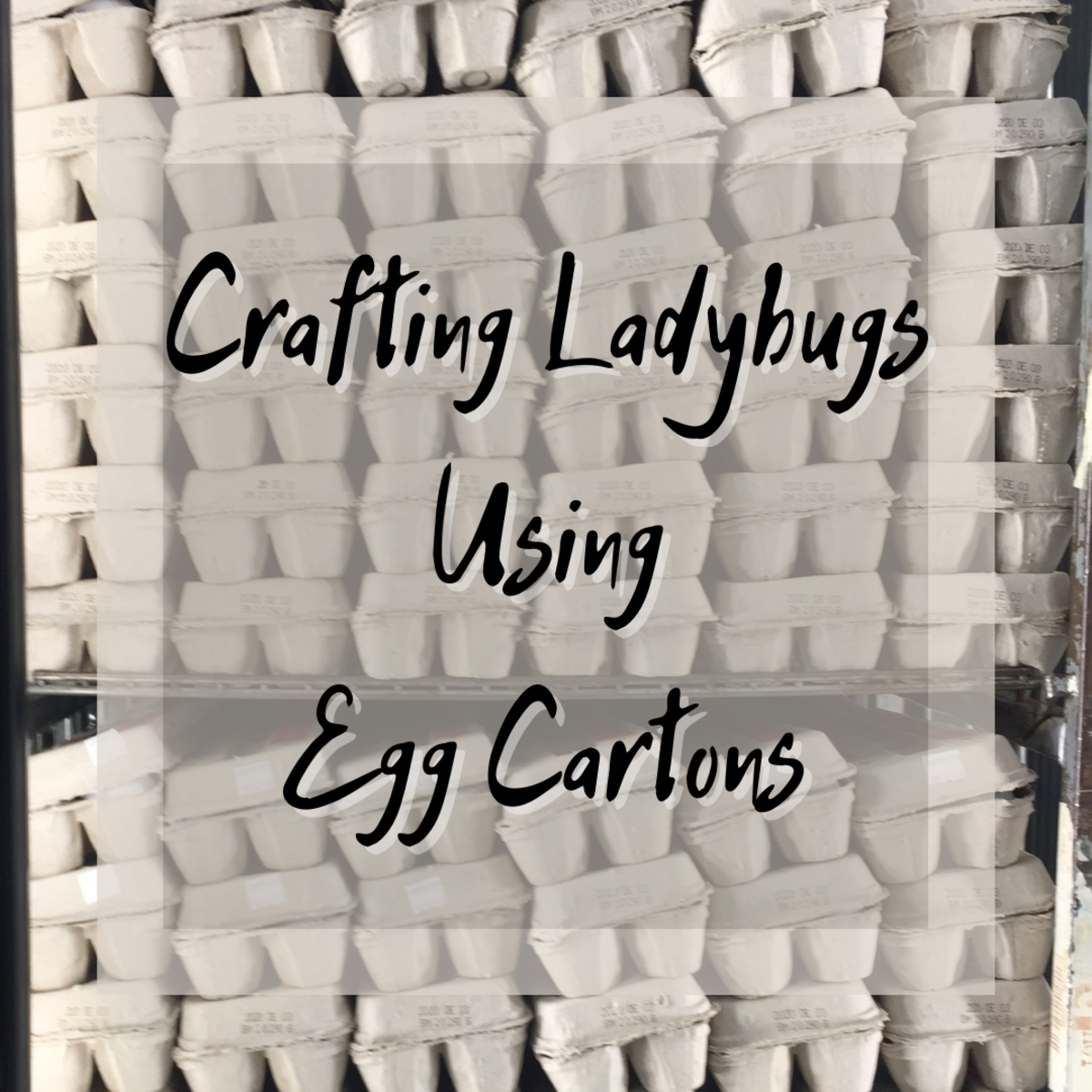 How to Make a Ladybug Craft With Egg Cartons