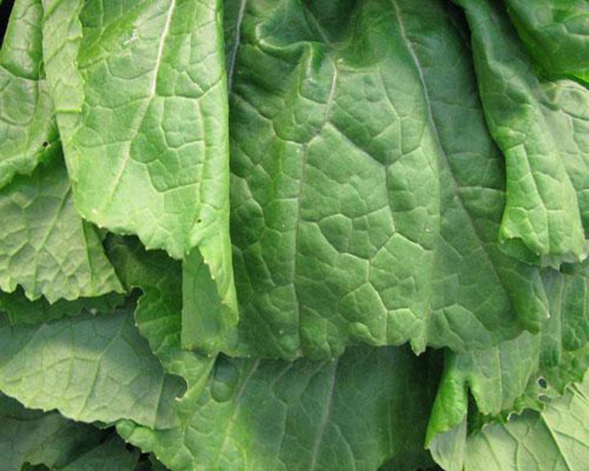 How To Choose Mustard Greens and Recipes