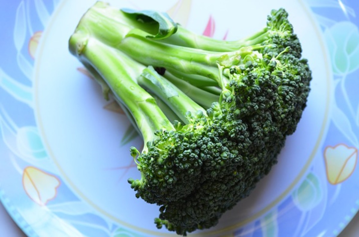 Broccoli for dinner