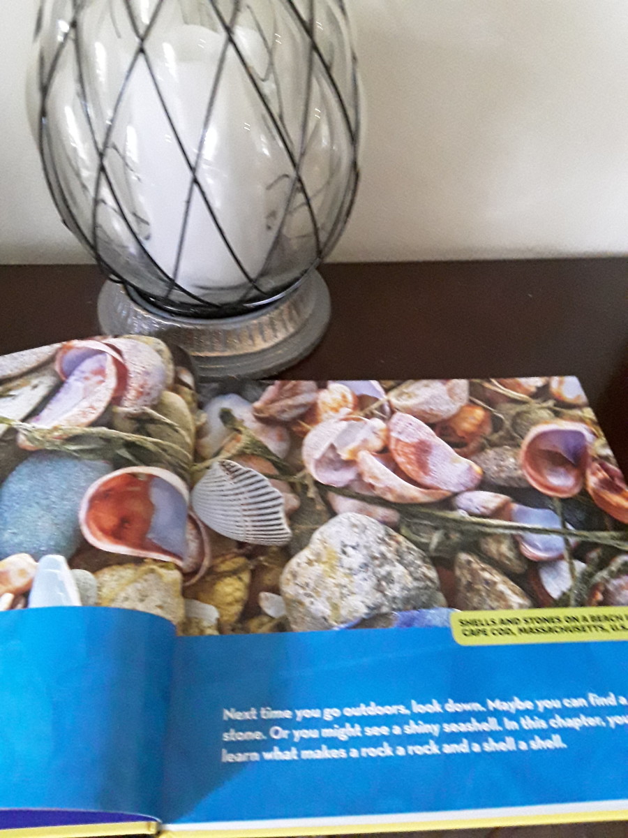 geology-for-the-little-ones-in-national-geographic-kids-first-big-book-of-rocks-minerals-and-shells
