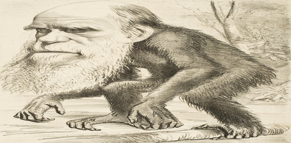 Charles Darwin Made a Monkey out of Me