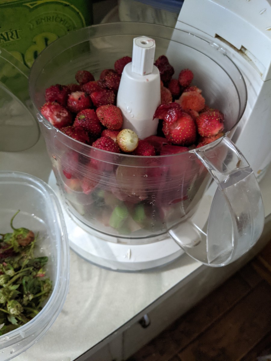 place strawberries and rhubarb into food processer. Chop fine.