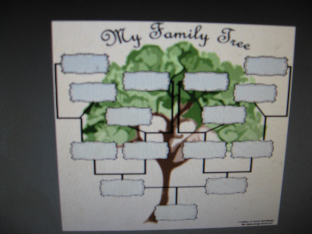Simple family trees are best for kids.