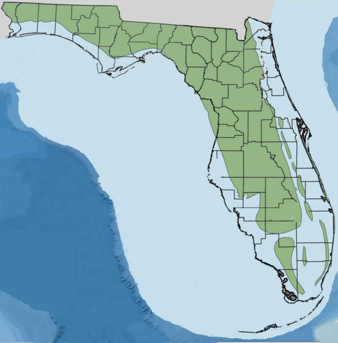 A different world:  Florida in the late Pliocene.  Image courtesy 'Noles1984' & Wikimedia Commons. 