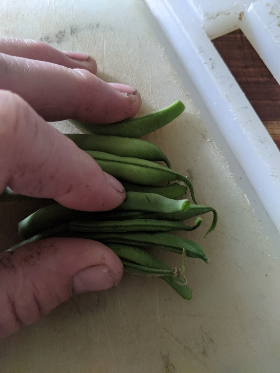 green-beans-preparing-for-cooking