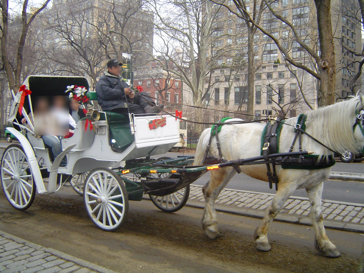 New York Carriage Ride