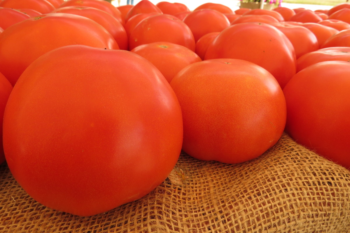 How Does LatexFruit Syndrome Compare with PollenFood Allergy Syndrome