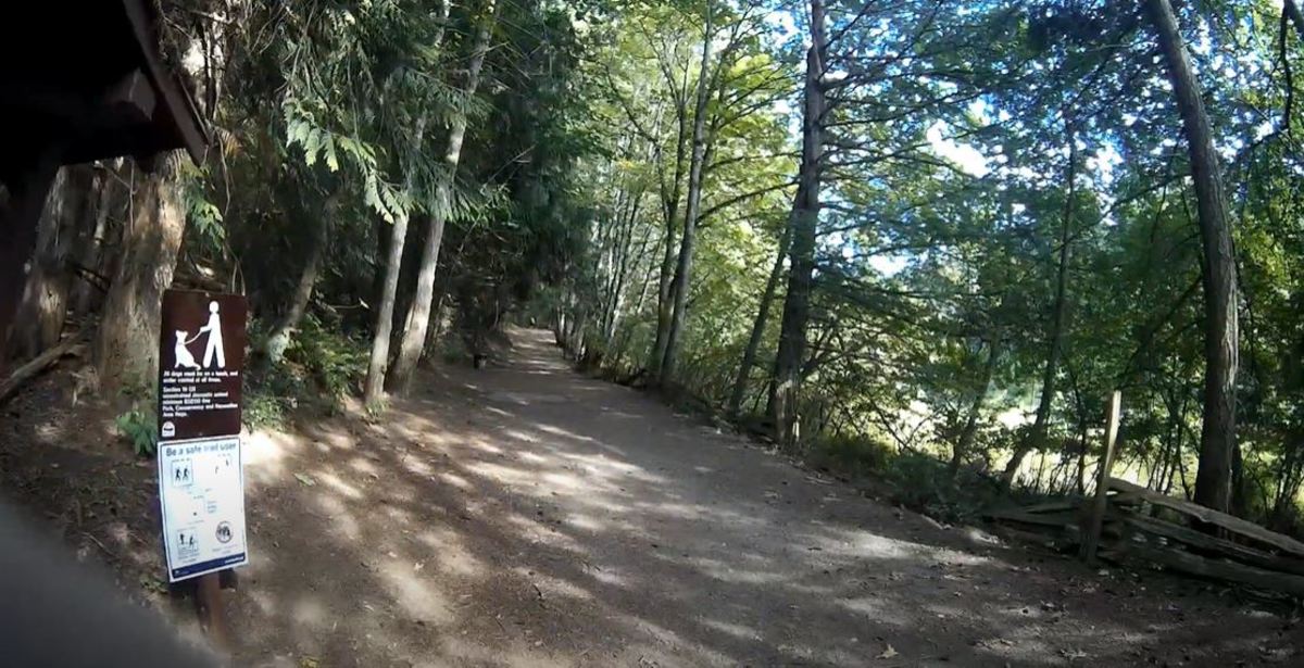 Hemer Provincial Park has some wide and clear trails for leisurely walking in a natural setting. The picture shows some very wide points, but typically the trails are narrower.