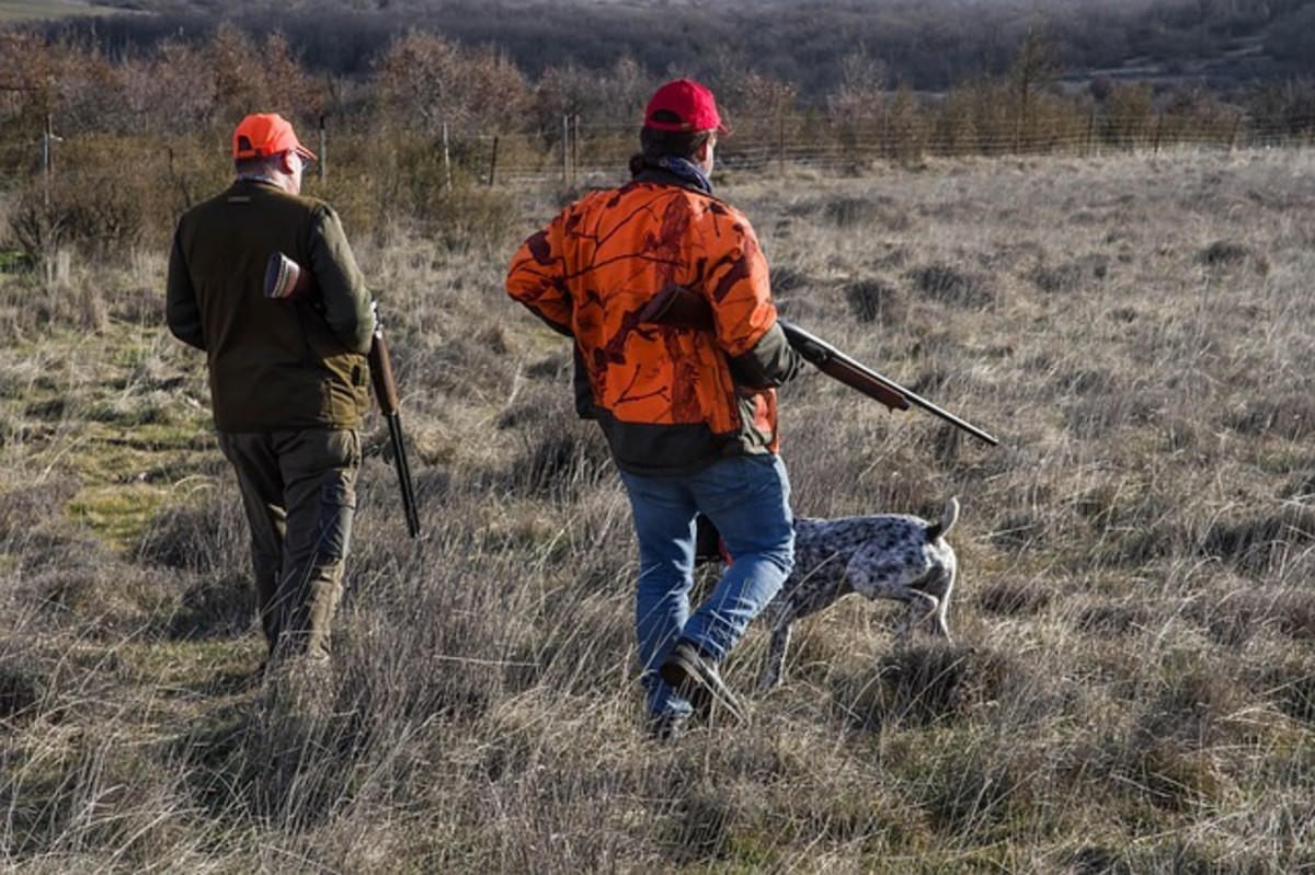 Two men hunting with dog.