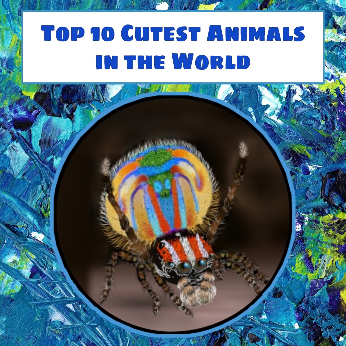 Learn about the cutest and most adorable animals in the world.