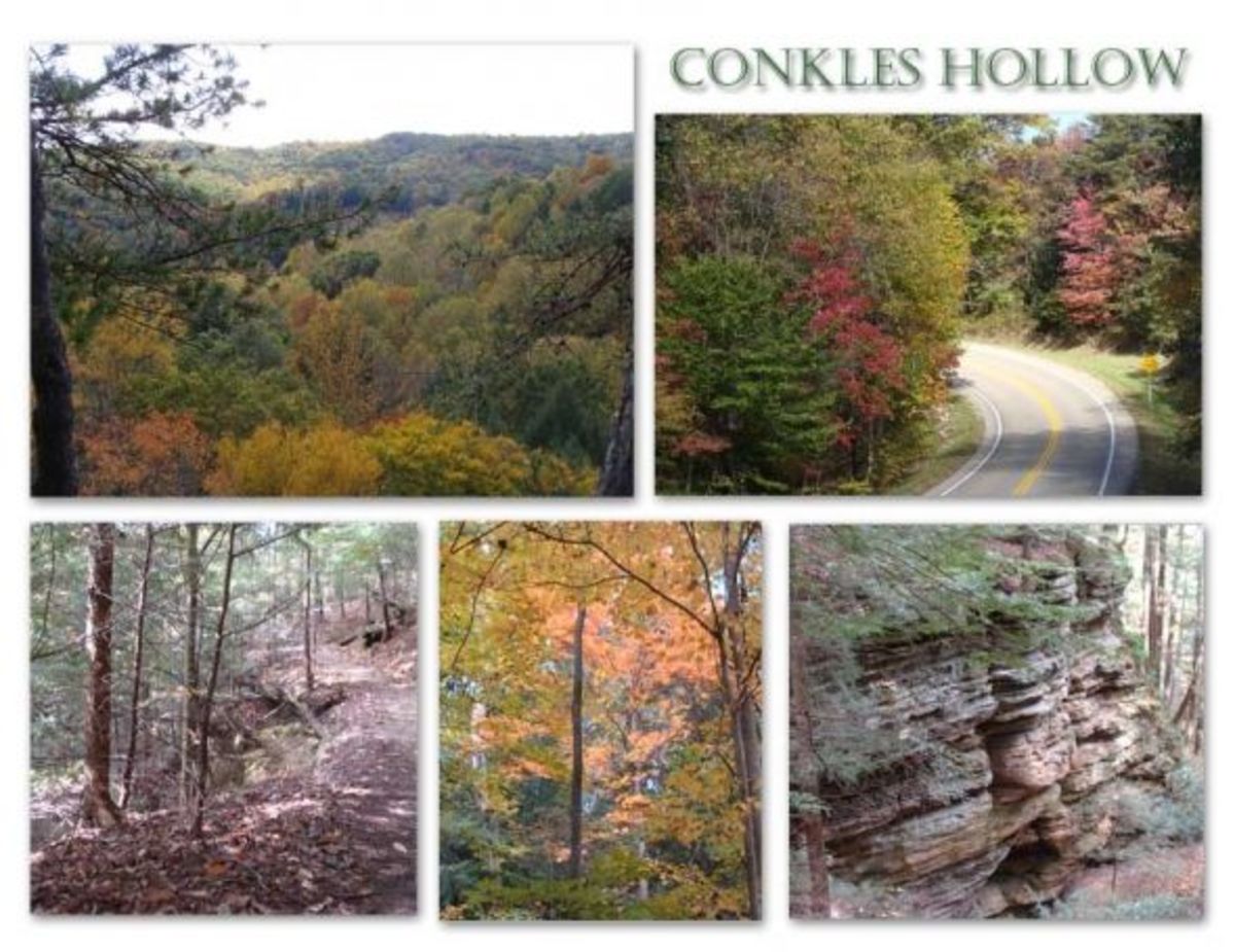 Collage of scenes from some of my hikes in Hocking Hills area.