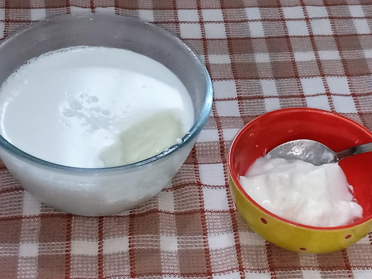 How to Make Thick Dahi (Curd or Yoghurt) From Cream-Removed Milk