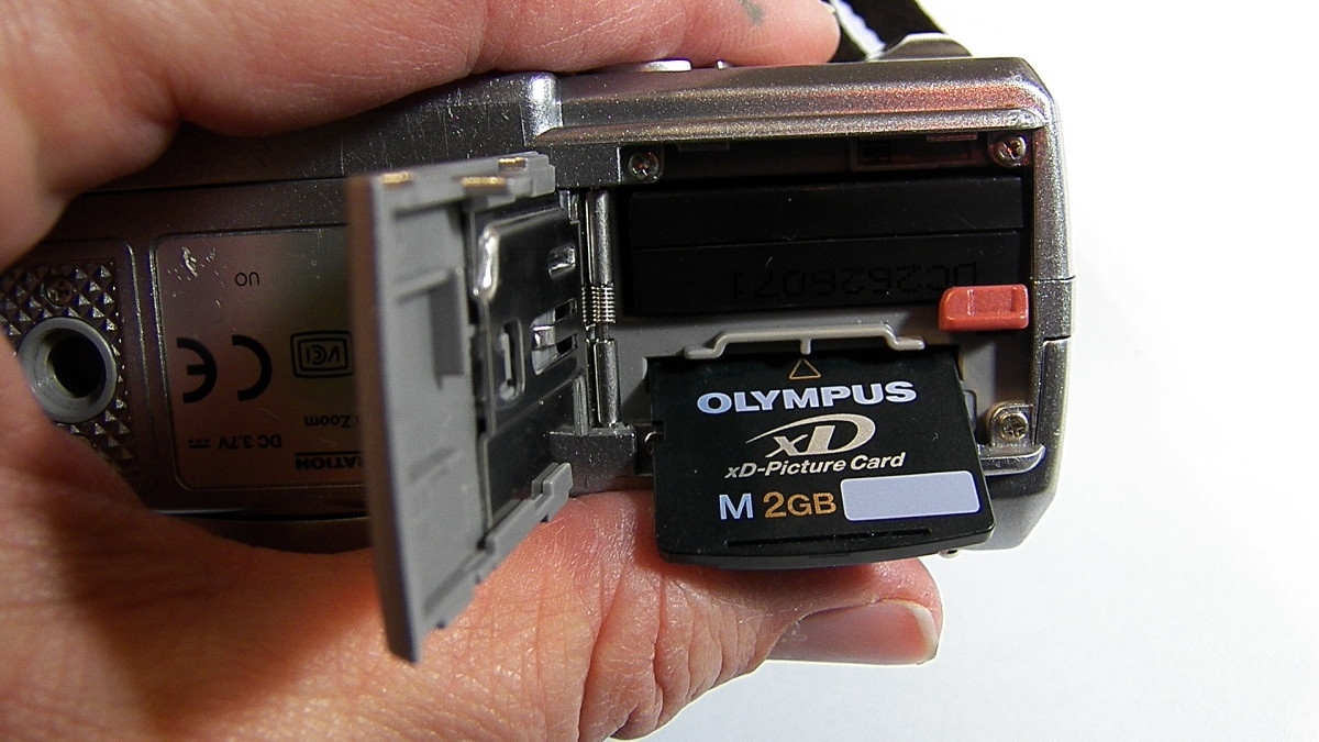 Digital Card: find your card near the battery in most cameras.  Push it down so it is released to pop out.