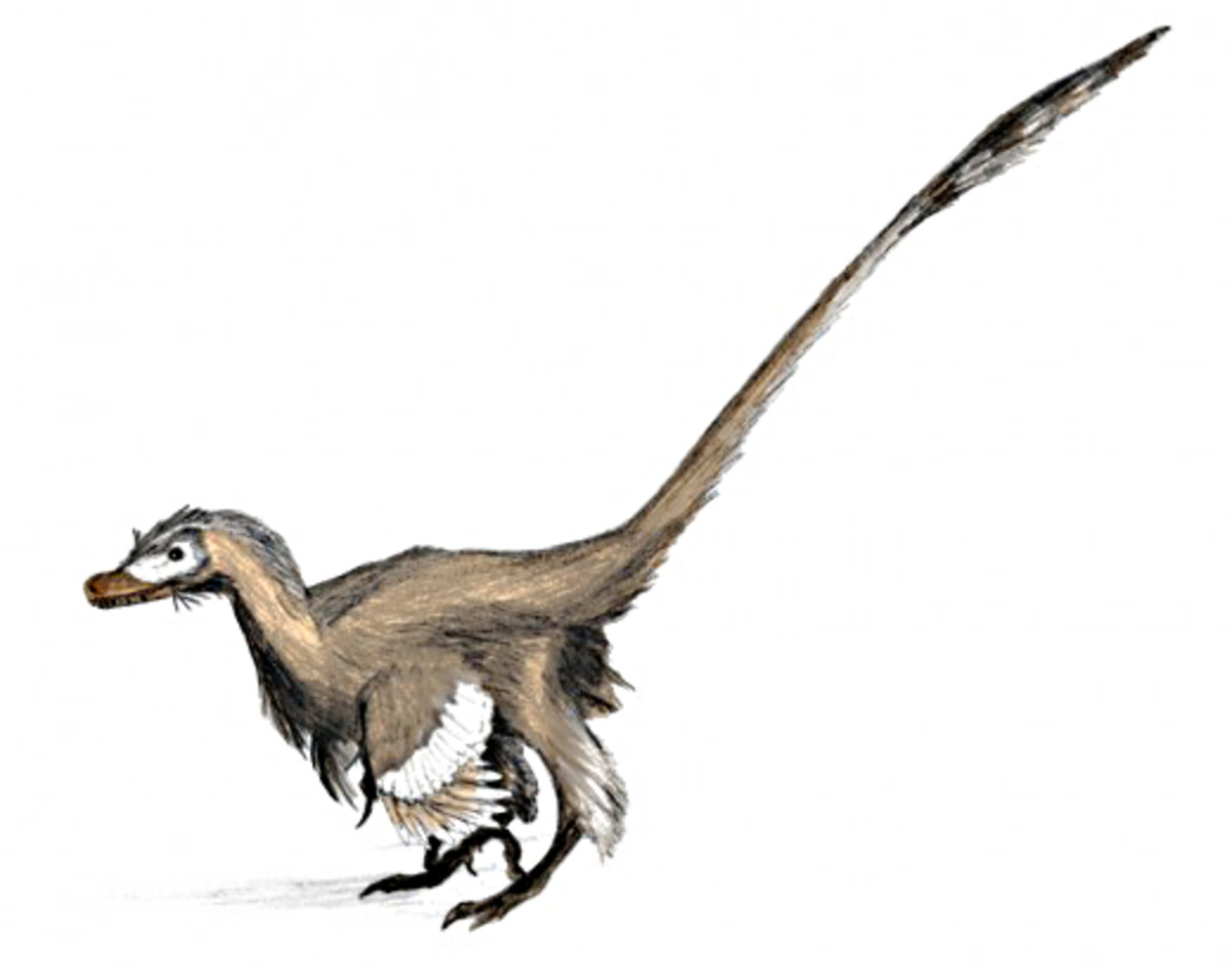 dinosaursprehistoriclife-hubpages-greensleeves