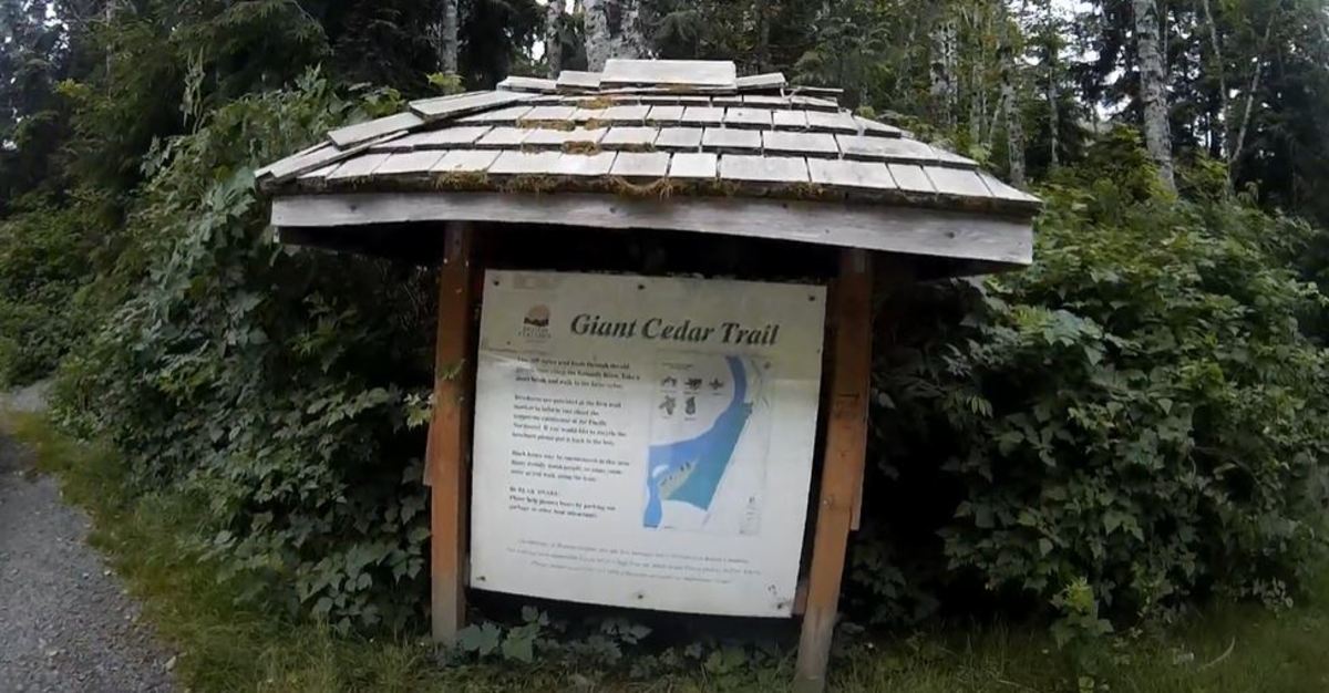 If you are out on the highway and driving toward Tofino, then this is the trailhead marker that you can hope to spot. The large roof of this trailhead will help make it stand out. Don't expect too many people on this trail.