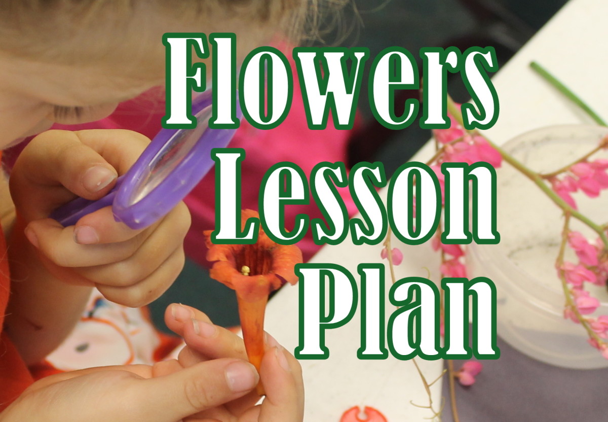 Flowers Lesson Plan