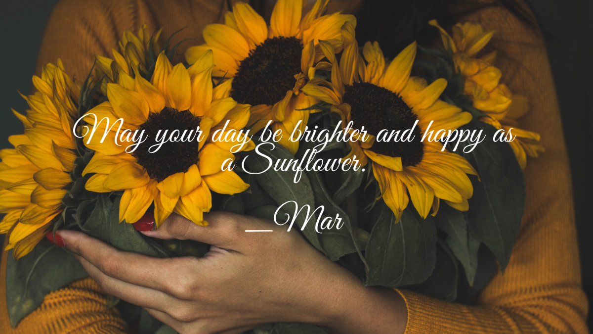 a-short-poem-on-sunflowers