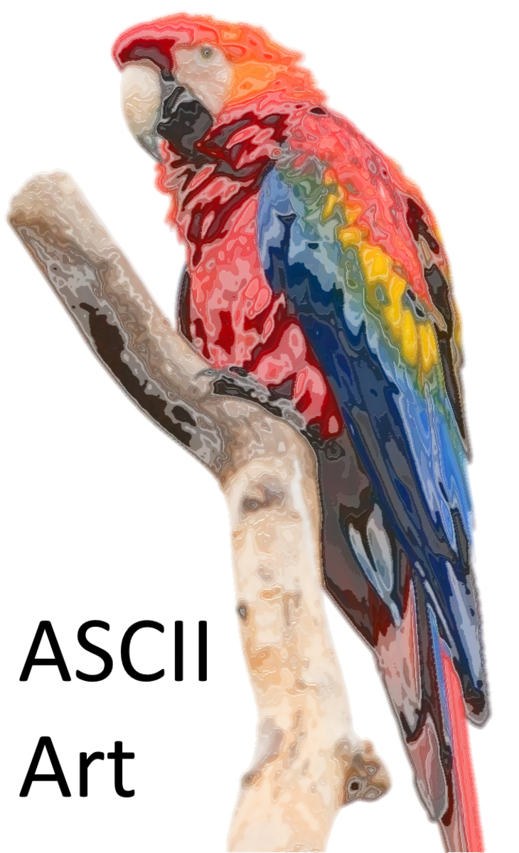 Parrot photo to colored ASCII text image.