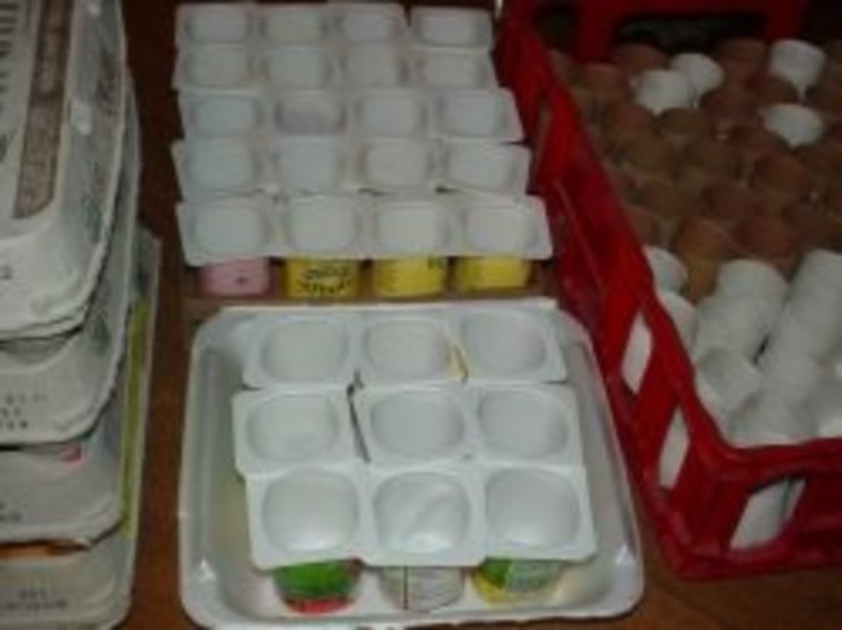 Reuse Plastic Yogurt Containers