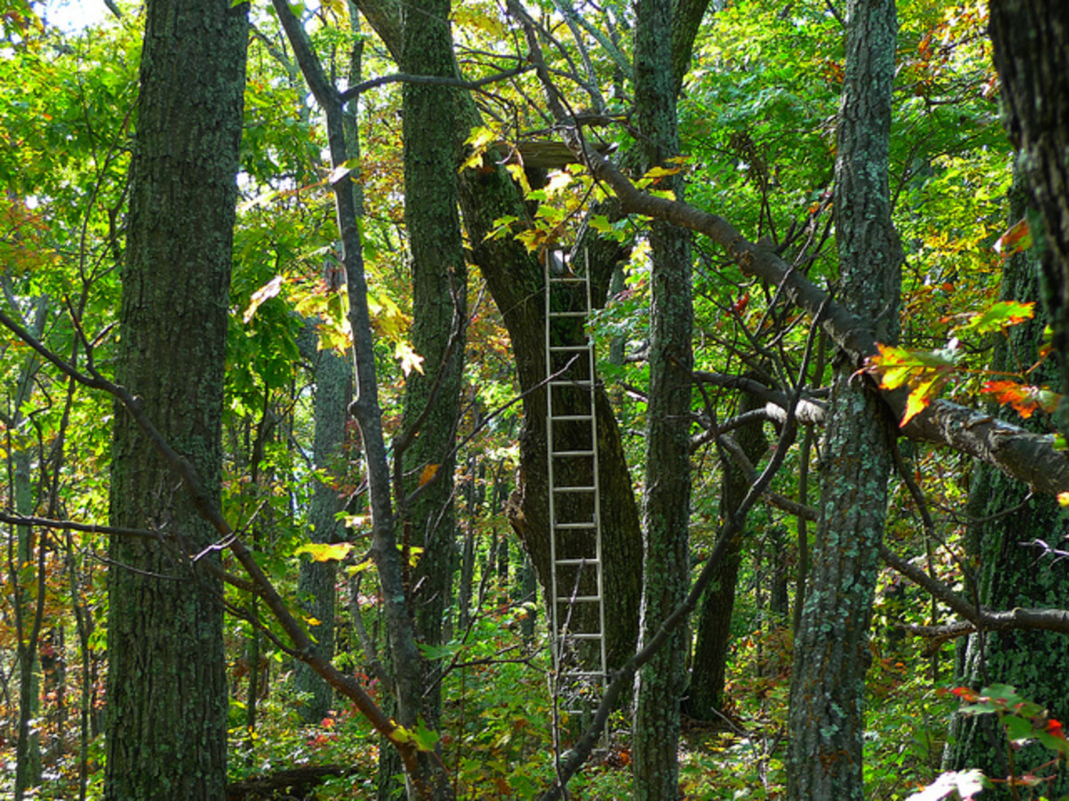 tips-to-prevent-tree-stand-theft