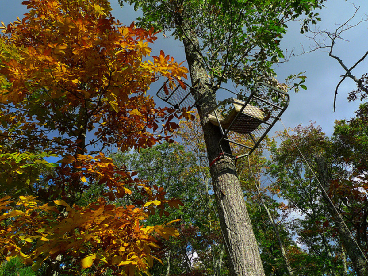 tips-to-prevent-tree-stand-theft