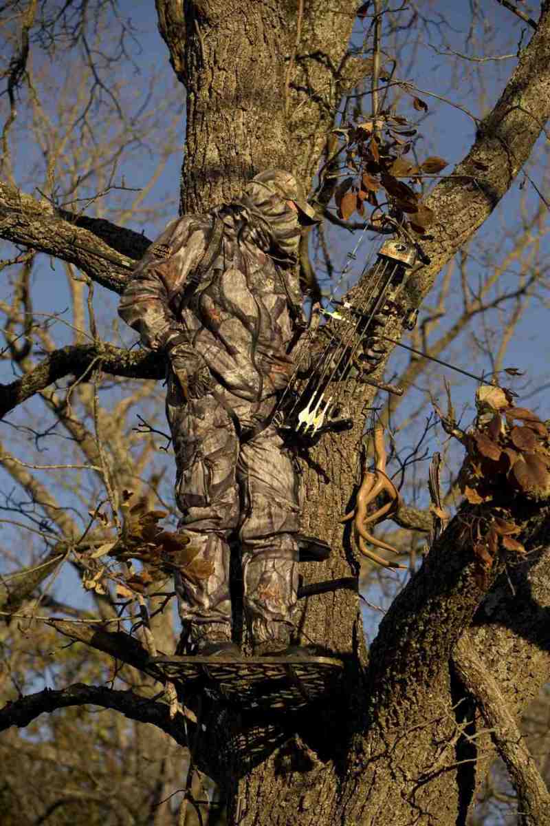 Tips to Prevent Tree Stand Theft