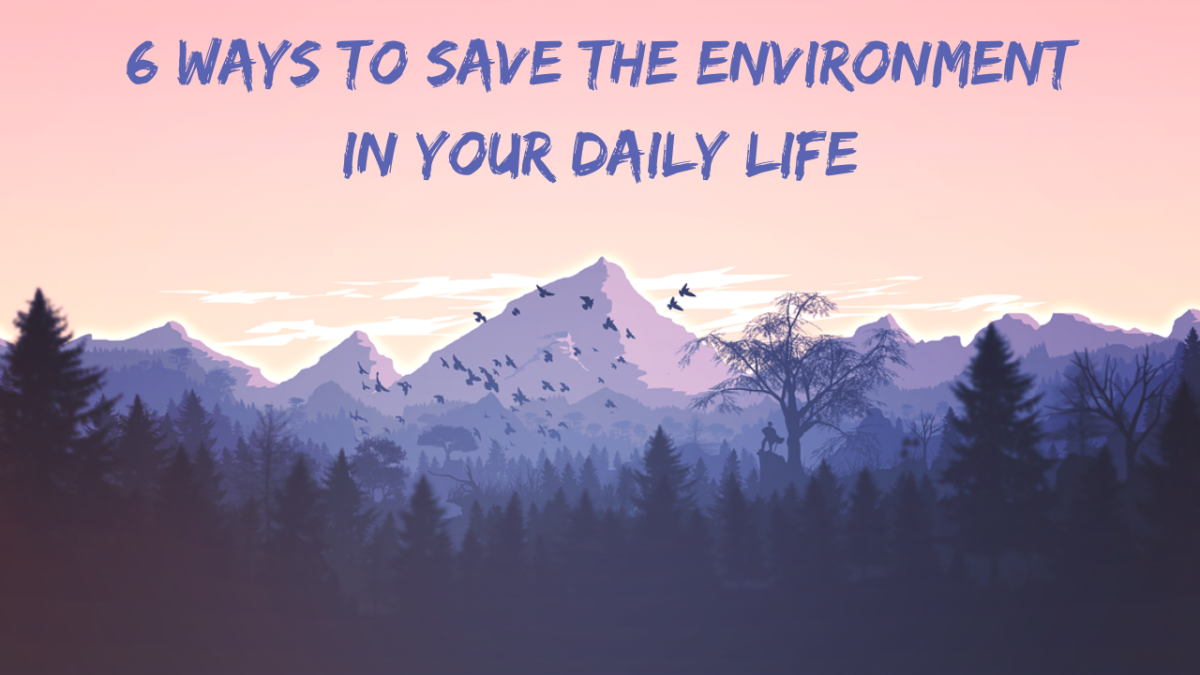 6 Ways To Save The Environment In Your Daily Life