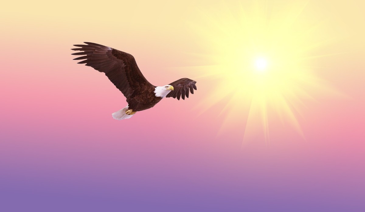 If I had the wings of an eagle: Image by Flash Alexander from Pixabay