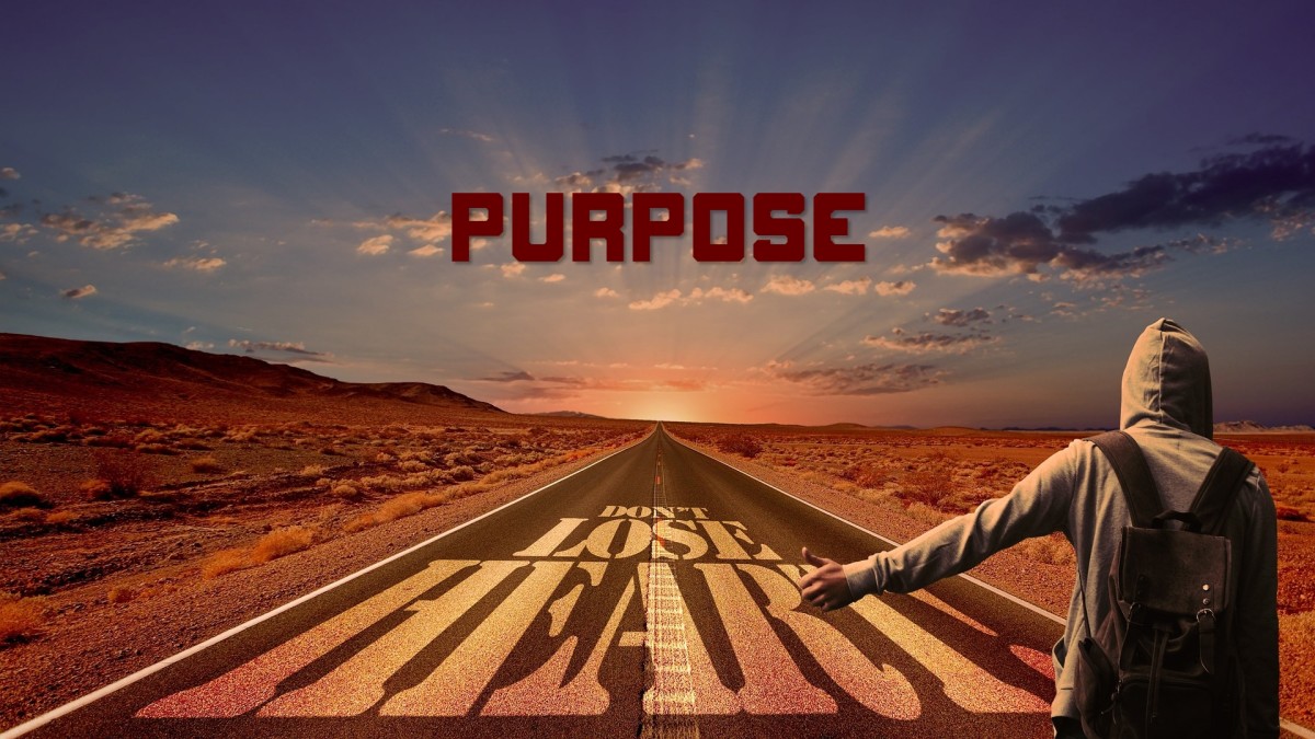 Do We All have a Purpose in Life?