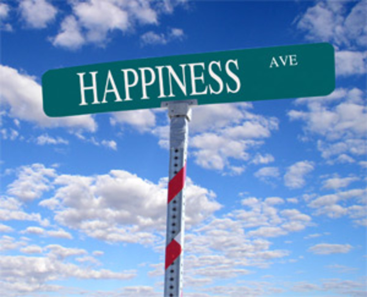 Positive Psychology- The Pursuit of Happiness in 2010