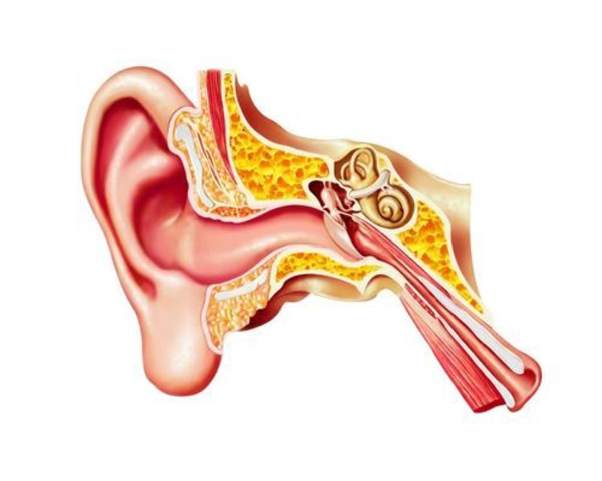 why-do-my-ears-crackle-the-science-behind-crackling-ears