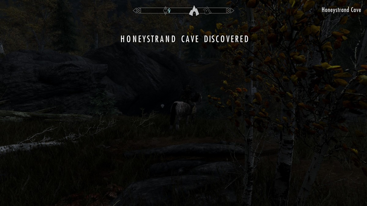 All You Need to Know About Honeystrand Cave Within 