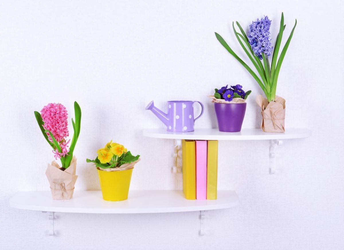 You don't need traditional vases to display your flowers and plants. 