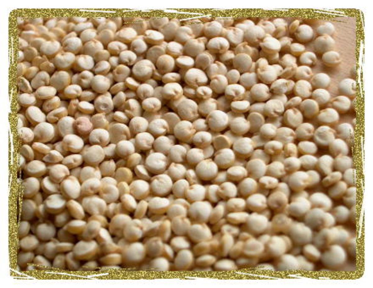 Quinoa seeds, ready to use