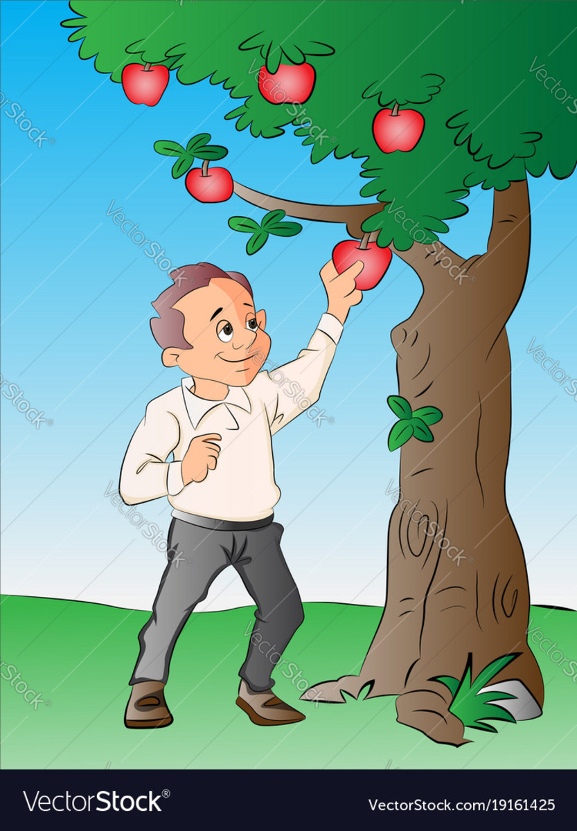 The Apple Tree and the Boy's Friendship HubPages