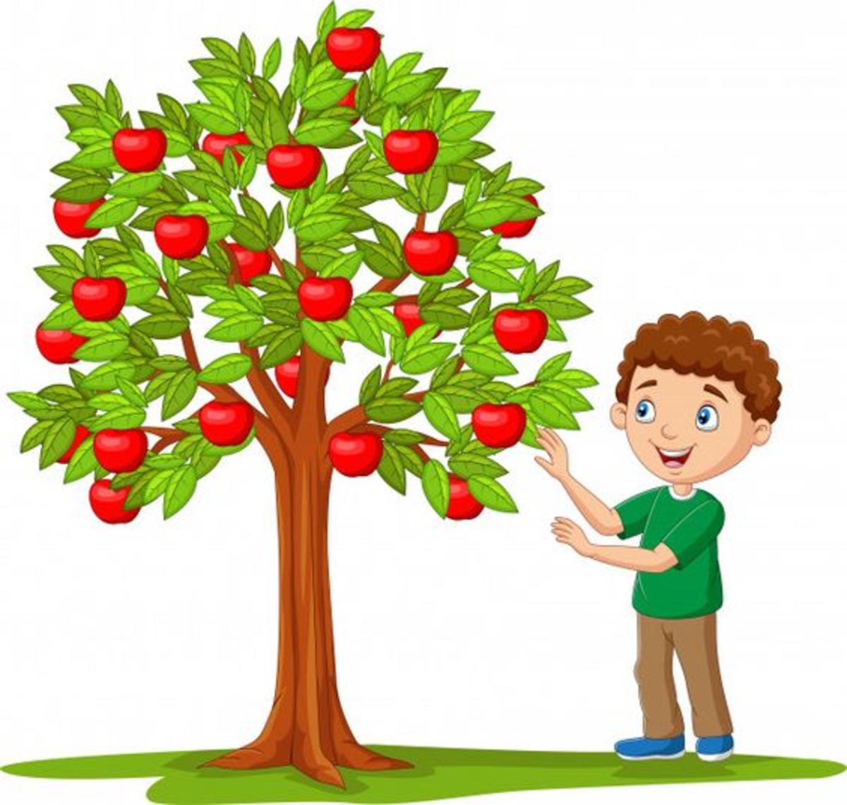 The Apple Tree and the Boy's Friendship