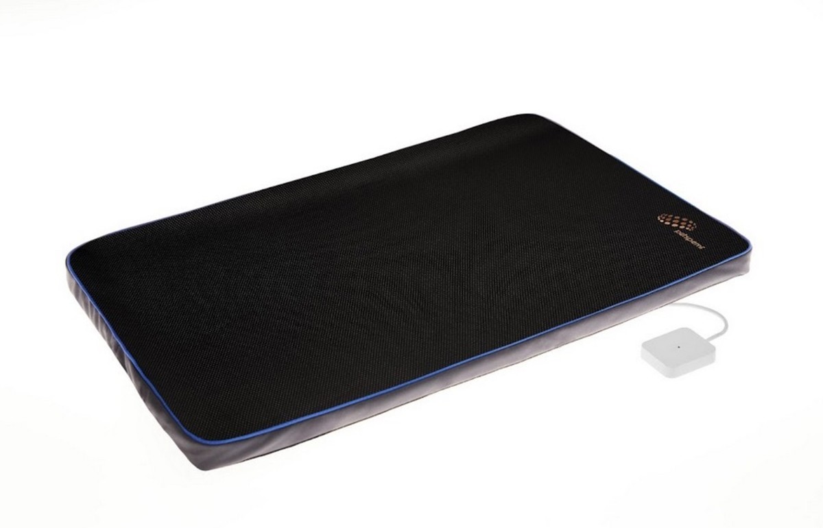 Give Your Dog The PETSPEMF PAD To Relieve Pain and Reduce Stress HubPages