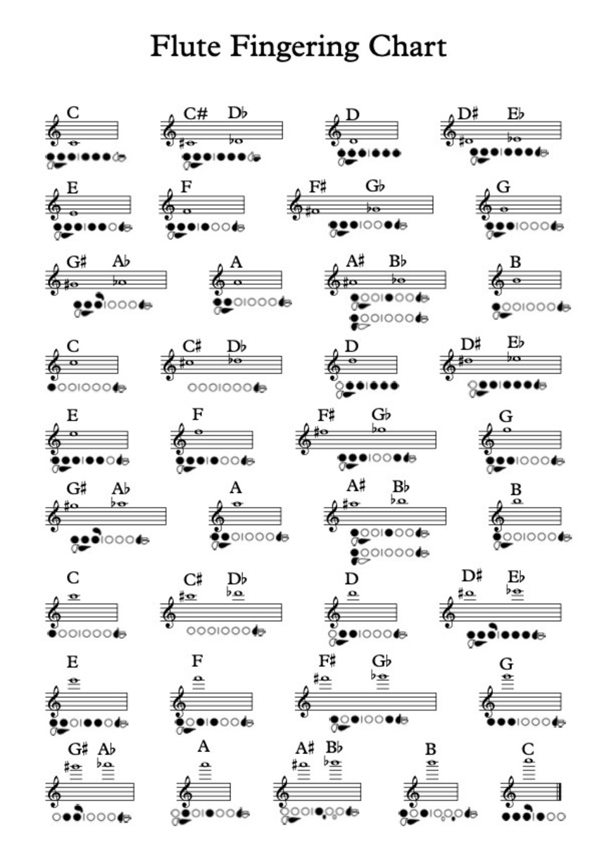 Flute Fingering Chart and How the Flute Works - Spinditty