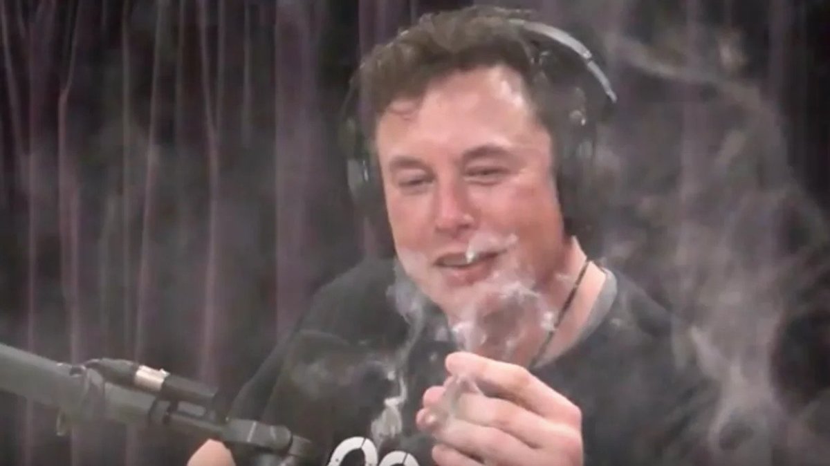 Elon Musk Origin Story