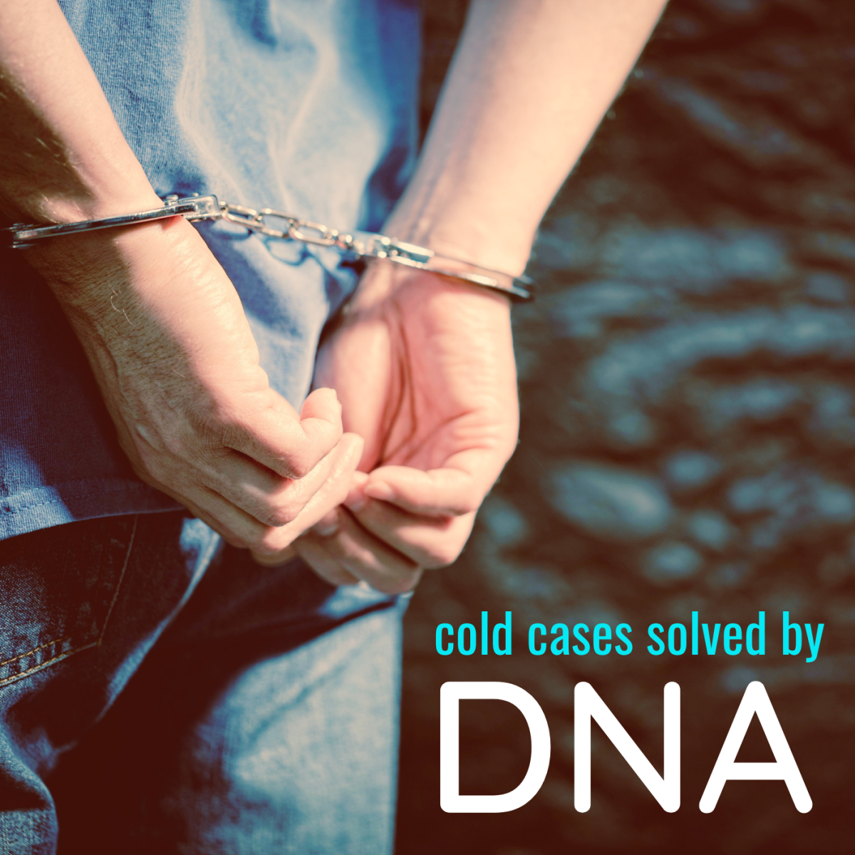 Cases solved by DNA