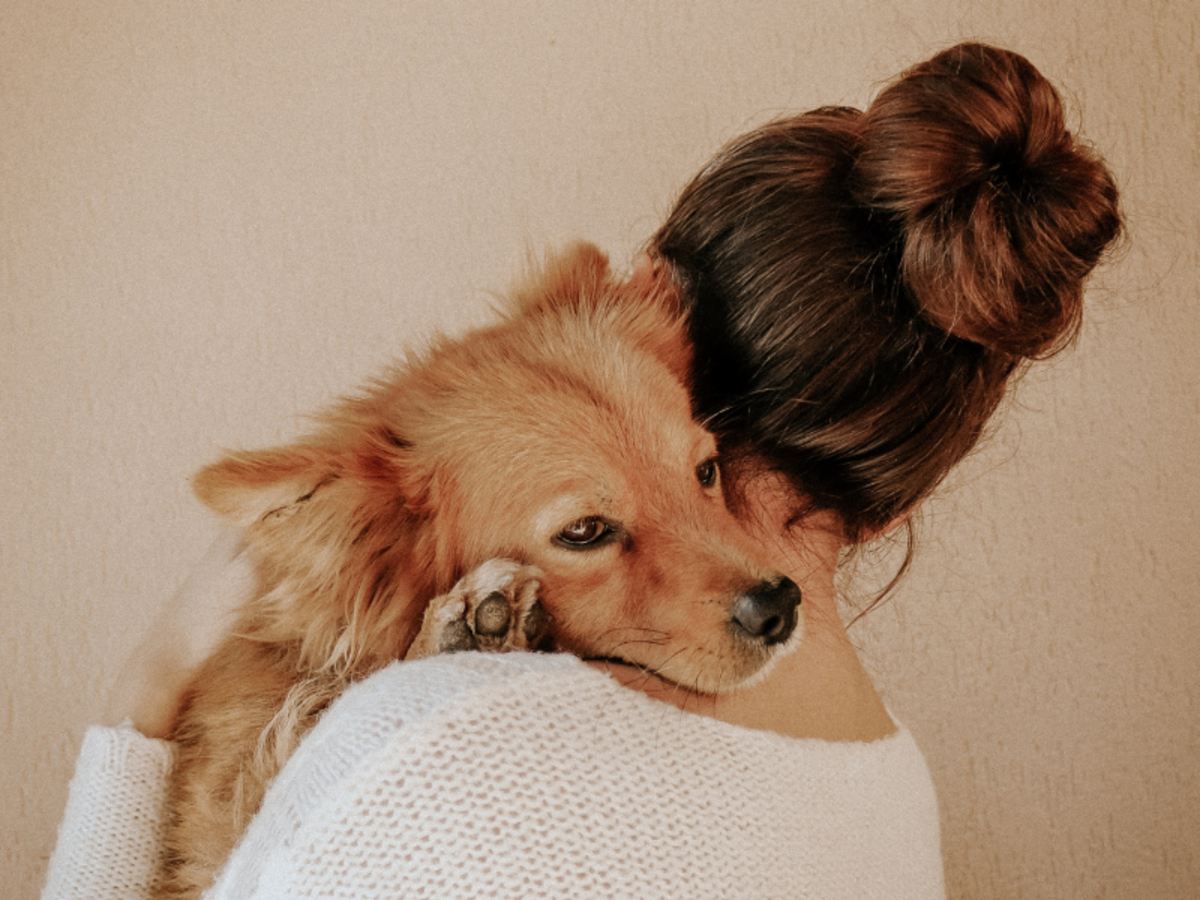 Your shoulders provide a safe haven for a scared or anxious dog