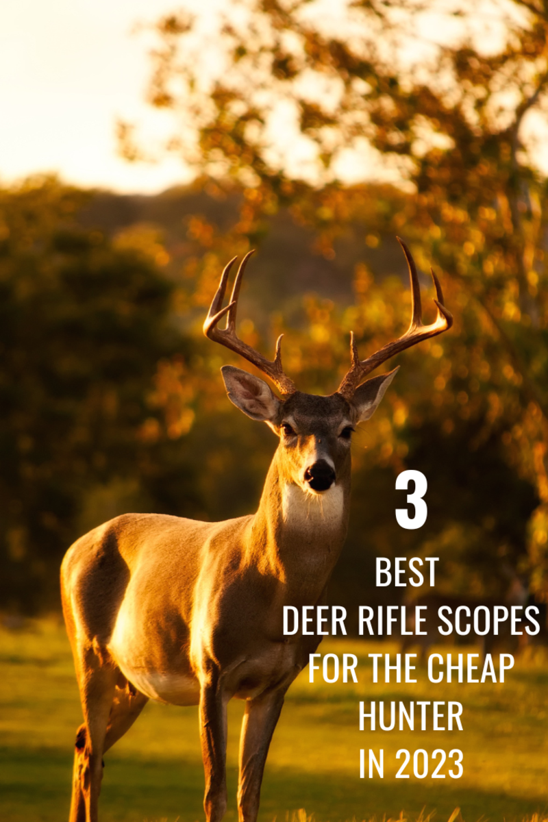Best 3 Deer Rifle Scopes for Cheap: Under $100 for 2023