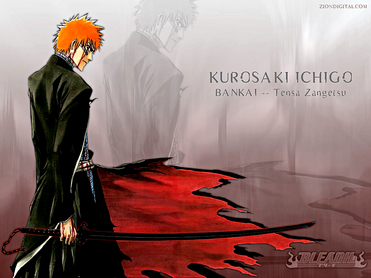 HD desktop wallpaper: Anime, Bleach, Ichigo Kurosaki, Bankai download free  picture #1173509